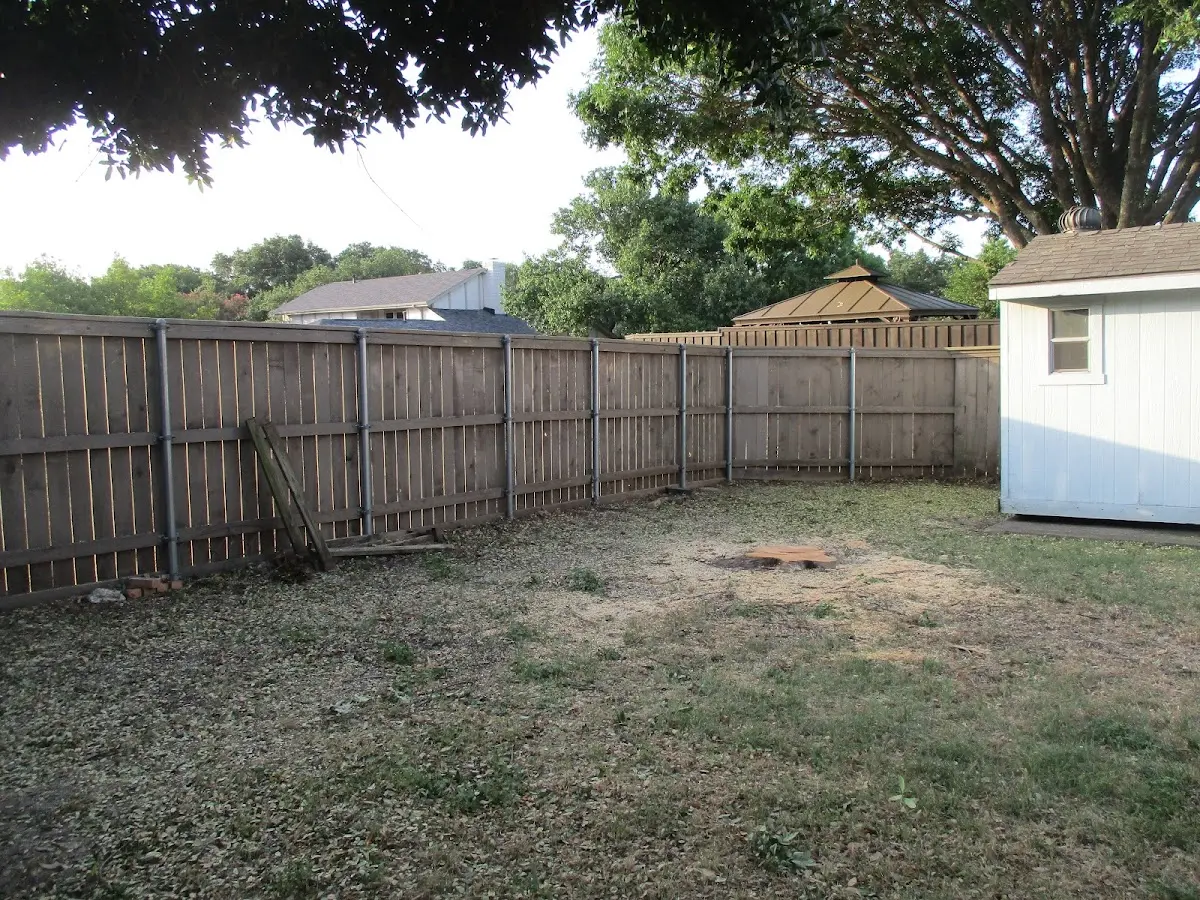 Cleared yard after professional tree removal in Ingleside